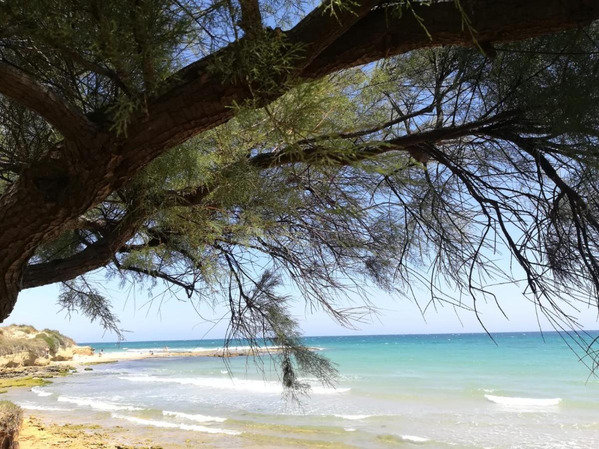 Apartament Tra Vento E Mare Lendinuso Zewnętrze zdjęcie